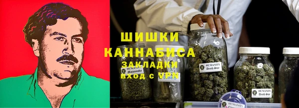 стафф Верхний Тагил