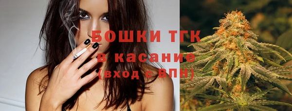 стафф Верхний Тагил