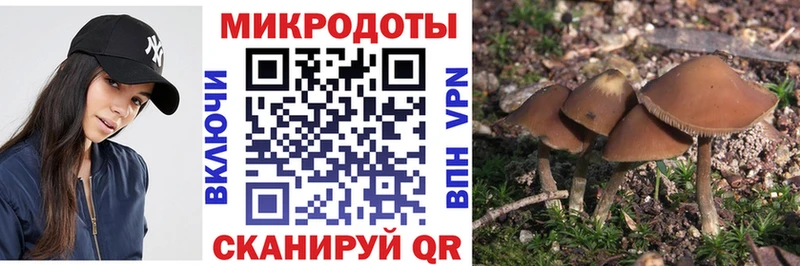 Псилоцибиновые грибы GOLDEN TEACHER  купить наркоту  Кемерово 